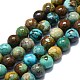 Chapelets de perles en turquoise naturelle G-K245-A16-05-1