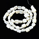 Chapelets de perles de coquille de trochid / trochus coquille SSHEL-S266-006-2