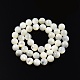 Fili di perline di conchiglia bianco naturale SSHEL-N003-144H-01-2