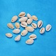 Perles de coquillage cauri naturelles BSHE-S055-1