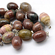 Oval Natural Indian Agate Pendants G-Q433-01-1
