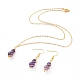 Natural Amethyst Pendant Necklace & Dangle Earrings Jewelry Sets SJEW-JS01060-03-1