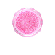 Brillante polvere glitterata per nail art MRMJ-T063-550D-1