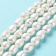 Natural Cultured Freshwater Pearl Beads Strands PEAR-Z002-14-2