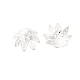 Coupelles en fer &nbsp;IFIN-D030-10x4mm-S-1