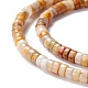 Natural Crazy Agate Beads Strands G-A201-A05-3