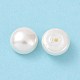 Perles de coquille semi-percée BSHE-G011-01-10mm-5