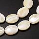 Natural Trochid Shell/Trochus Shell Beads Strands SSHEL-K008-01-3