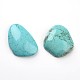 Dyed Natural Howlite Nuggets Cabochons X-G-F258-02-2