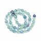 Natural Fluorite Beads Strands G-T064-47B-2