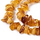 Ambre naturel perles puce brins X-G-E271-81-2