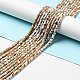 Electroplated Natural Howlite Bead Strands G-D470-01D-4