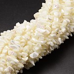 Natural Trochid Shell/Trochus Shell Beads Strands, Shell Shards, Chip, Creamy White, 5~8x5~8mm, Hole: 1mm, 32 inch