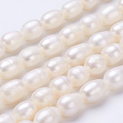 Fili di perle di perle d'acqua dolce coltivate naturali, riso, colore conchiglia, 11~13x9~10mm, foro : about 0.5mm, circa 30pcs/filo, 13.8 pollice
