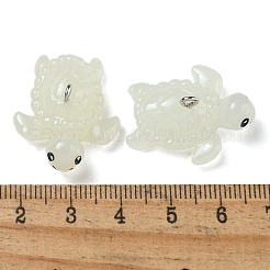 Leuchtende Harzanhänger&nbsp;RESI-R452-03C