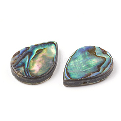Conchiglia abalone / perle di conchiglia paua&nbsp;SHEL-T005-02