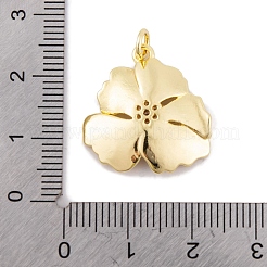 Porte micro ouvrent pendentifs zircone cubique en laiton de placage&nbsp;KK-K367-21G-01