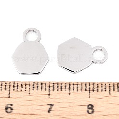 Anhänger aus 304 Edelstahl&nbsp;LS-STAS-T070-13P