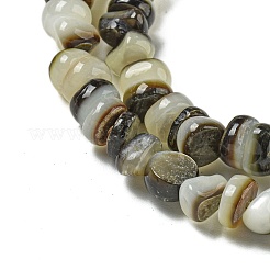 Natur schwarz Lippe Shell Perlen Stränge&nbsp;BSHE-G039-02