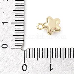 Breloques en laiton&nbsp;LS-KK-S514-06B-G