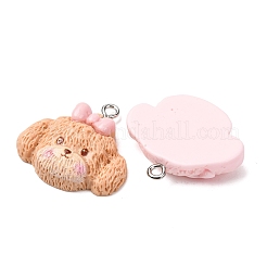Colgantes de resina opaca&nbsp;FIND-P035-14P-M
