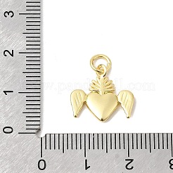 Messing Anhänger & Charms&nbsp;KK-P343-08B-G