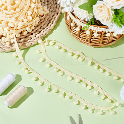 Nastro di pizzo con nappe e palline in nylon con pompon&nbsp;DIY-WH0580-31C