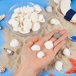 Shell Anhänger&nbsp;SSHEL-TA0001-03