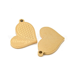 Colgantes de acero inoxidable 304 con revestimiento iónico (IP)&nbsp;STAS-S135-05G