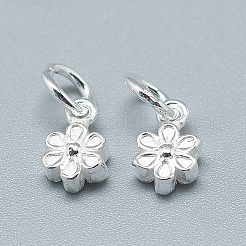 Breloques en 925 argent sterling&nbsp;X-STER-T002-104S