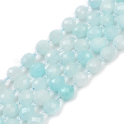 Natürliche Malaysia Jade Perlen Stränge&nbsp;G-D305-A01-01C