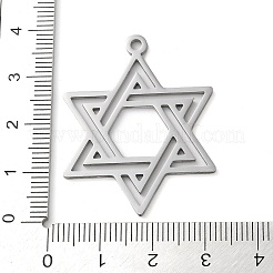 Pendentifs en acier inoxydable 304 anti-ternissement&nbsp;LS-STAS-R116-01P