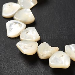 Natürlichen weißen Muschelperlen Stränge&nbsp;SHEL-G014-15