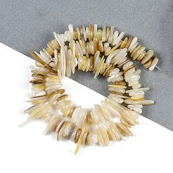 Natürliche Trochusmuschelperlenstränge&nbsp;BSHE-H109-08