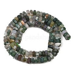 Natur Moos Achat Perlen Stränge&nbsp;G-G317-A26-3X6MM