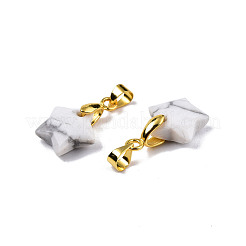 Natürliche howlite Anhänger / charms&nbsp;G-N326-142-10
