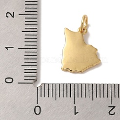 Colgantes de esmalte de latón chapado en rack&nbsp;KK-L220-017G