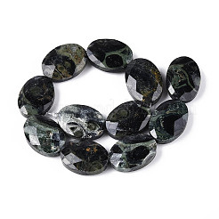 Fili naturali di perle di diaspro di kambaba&nbsp;G-S354-13x18-A03