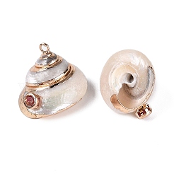 Colgantes de concha espiral natural con borde de latón dorado electrochapado&nbsp;SSHEL-Q101-05