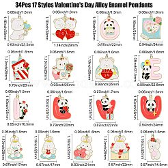 34 Uds. 17 estilos colgantes de esmalte de aleación del Día de San Valentín&nbsp;FIND-CJ0002-98
