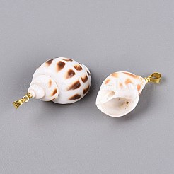 Anhänger aus Messing und natürlicher Spiralmuschel&nbsp;SHEL-Q029-16KCG