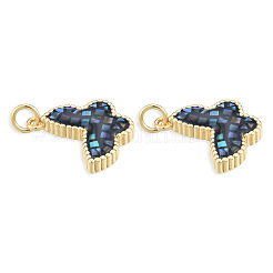 Natürliche Abalone-Muscheln / Paua-Muscheln gefärbte Anhänger&nbsp;KK-N227-113
