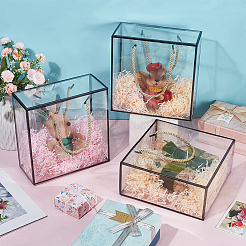 20 Stück transparente Geschenkboxen aus Haustierplastik&nbsp;AJEW-BC0009-80B