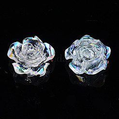 Transparente Harzcabochons&nbsp;CRES-N030-001B-06