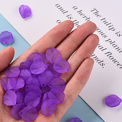 Pendentifs acryliques mats transparents&nbsp;MACR-S371-02A-747