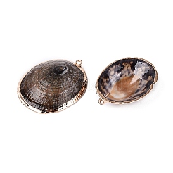 Colgantes de conchas marinas naturales con bordes de latón dorado electrochapado&nbsp;SSHEL-Q101-01