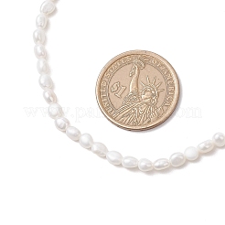 Natürliche Keshi-Perle&nbsp;NJEW-JN05336-01