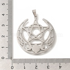 Pendentifs en acier inoxydable 304&nbsp;STAS-S144-05P-C