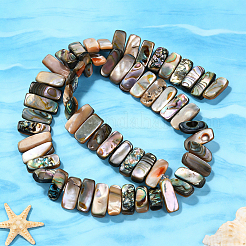 1 hebra de cuentas de concha de paua natural&nbsp;BSHE-PA0001-08