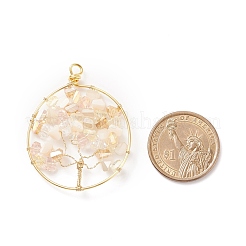 Pendentifs en verre plaquent&nbsp;PALLOY-JF01546-05
